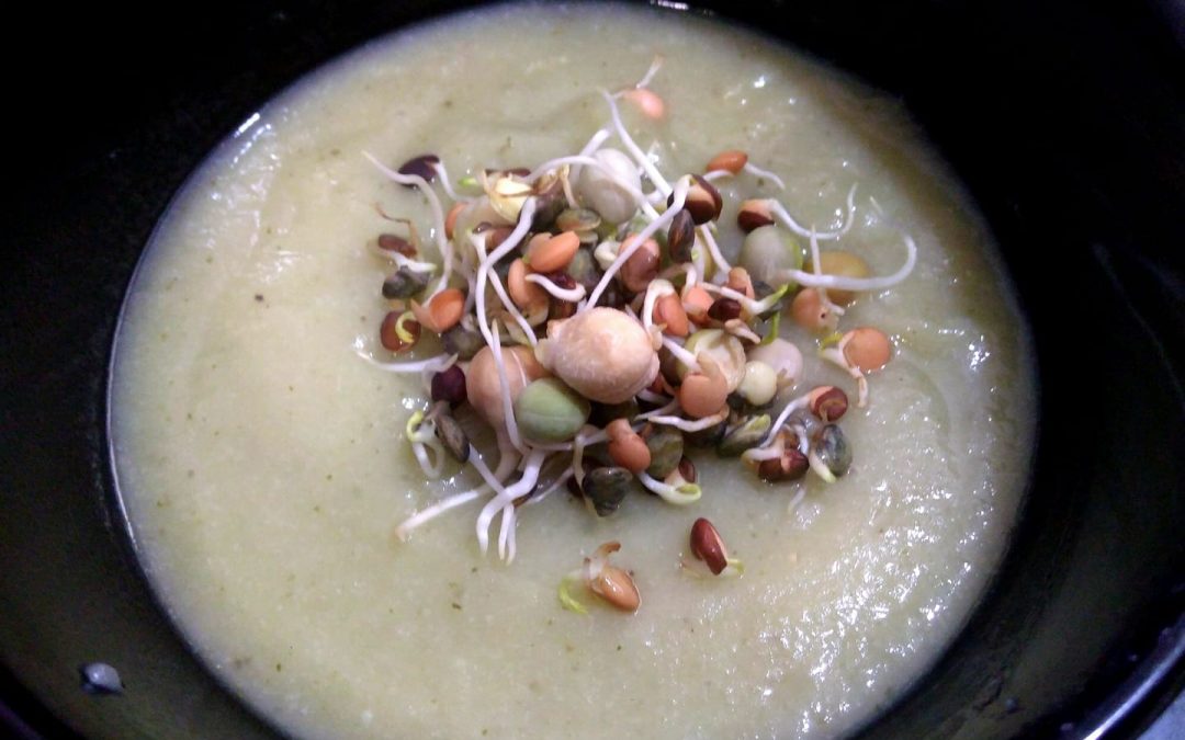 Cauliflower & Leek